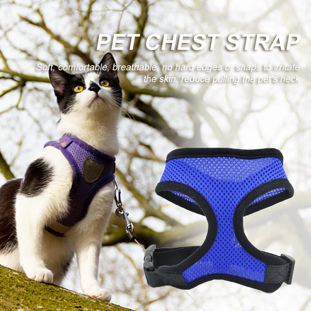 Imbracatura collare gatto cane cane riflettente comode imbracature gilet gattino per addestramento