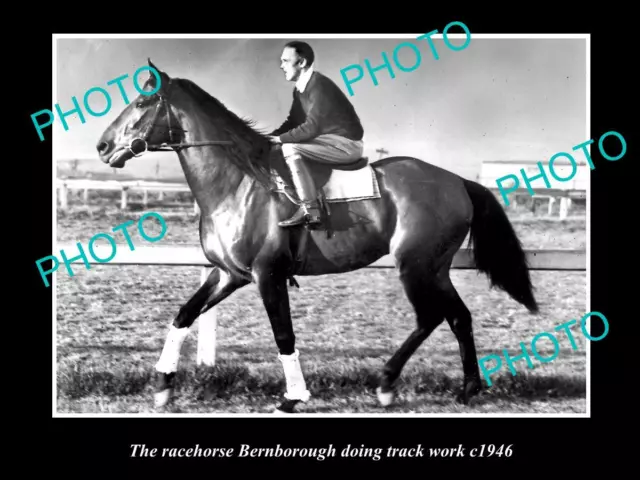 OLD HISTORIC HORSE RACING PHOTO OF BERNBOROUGH DOING TRACK WORK c1946