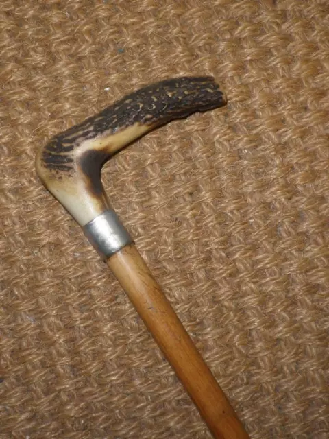 Antique Traditional Carved Antler Topped Silver Collar Walking Cane Stick.