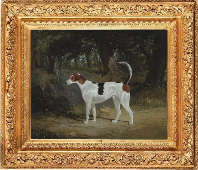 Old Master-Art Antique Oil Painting animal Portrait dog on canvas 24"x30"