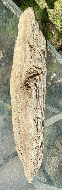 IMPRESSIVE* 29.11 Lb Petrified Fossil Wood Log Covered In Large Druzy-Over 20” L 4