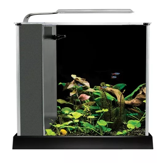 Fluval Spec Aquarium Kit - Black - 2.6 Gallon - Desktop Glass Aquarium - 10515