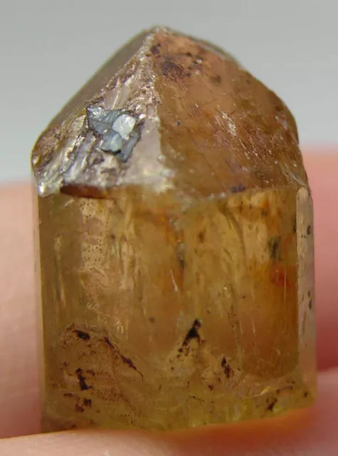 #18 14.00ct Mexico 100% Natural Terminated Golden Apatite Crystal Specimen 15mm