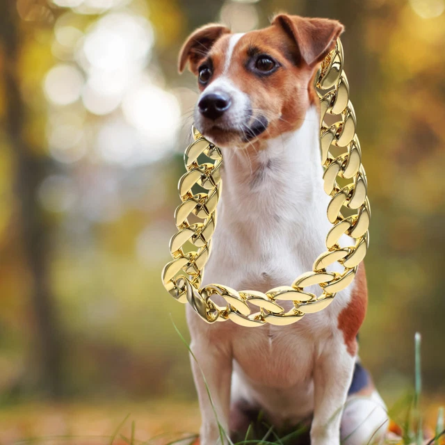 1 Set Halloween Haustierkostüm Lustige Haustierkostüm Katzenhund Cosplay 10