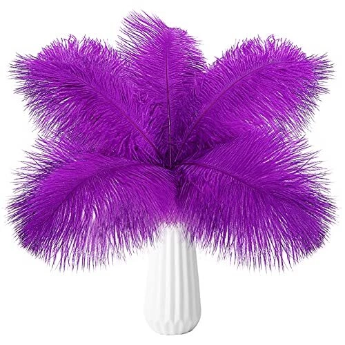 24pcs Purple Ostrich Feathers Natural Bulk 8-10Inch 20cm-25cm for Wedding Par...