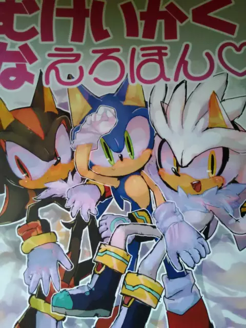 Sonic the Hedgehog Doujinshi Sonic X Shadow (B5 50pages) ROOT8Beat Onsoku