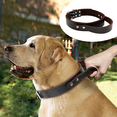 Genuine Leather Dog Collar W/ Handle for Walking Training Heavy Duty Dog Collars