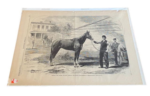 Dexter The Fastest Trotting Horse in the World Harper's Weekly Oct 28, 1865