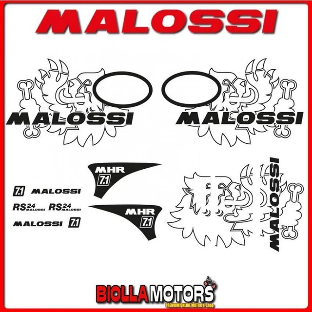 3317672 Kit Adesivi Trofeo Malossi Vespa Sprint 3V Iget 50 Ie 4T Euro 4 2018-> (