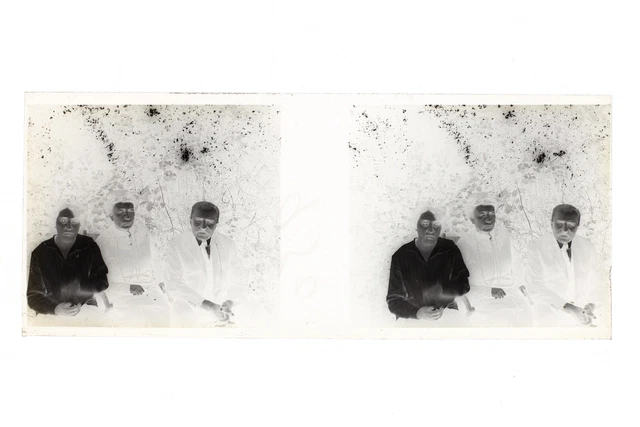 France Famille Photo Amateur Stereo L14n20 Plaque de verre Vintage NEGATIF