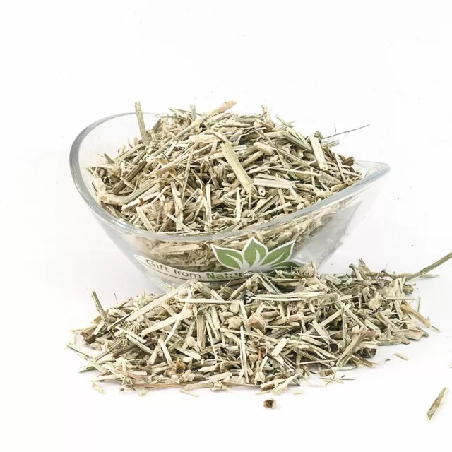 CHICORY Herb Dried ORGANIC Bulk Tea,Cichorium intybus Herba
