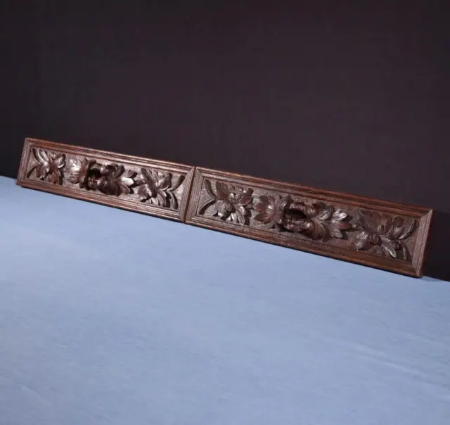 *French Antique Carved Architectural Drawer Fronts/Panels in Solid Oak Wood
