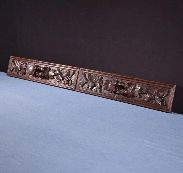*French Antique Carved Architectural Drawer Fronts/Panels in Solid Oak Wood