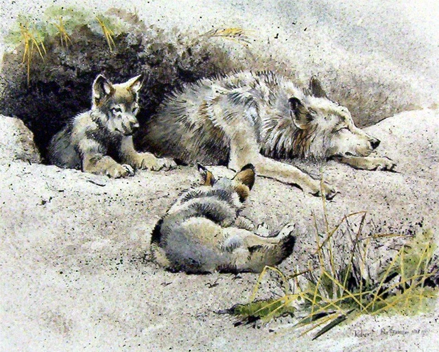 Robert Bateman Wolf And Cubs Hand Colored