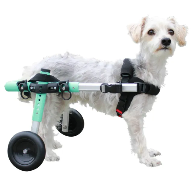Lightweight Dog Wheelchair - for Small Dogs 11-25 Pounds - Veterinarian Approved