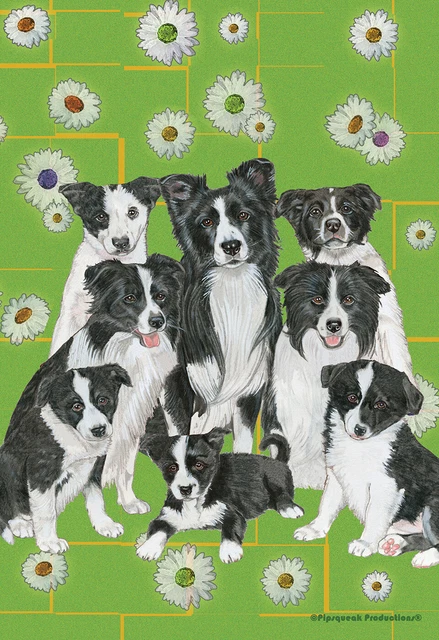 Pipsqueak House Flag - Border Collie 49560