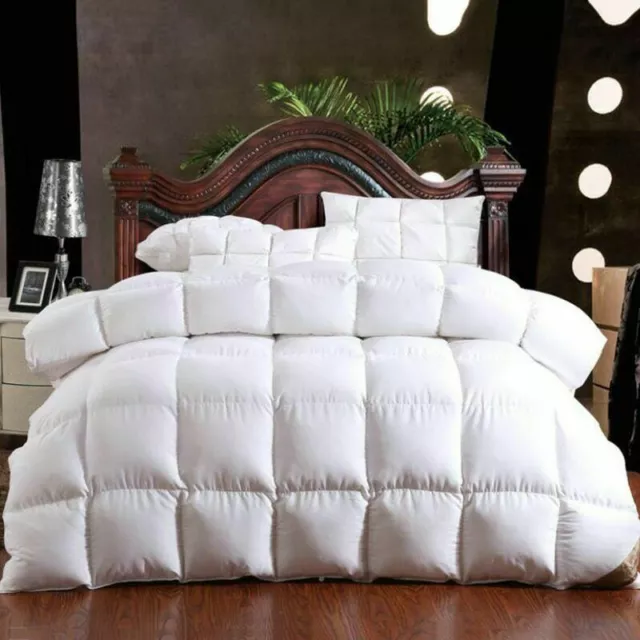 Winter Warm Quilts Duvet Blanket Filler Heavy Goose Down Comforter King Queen