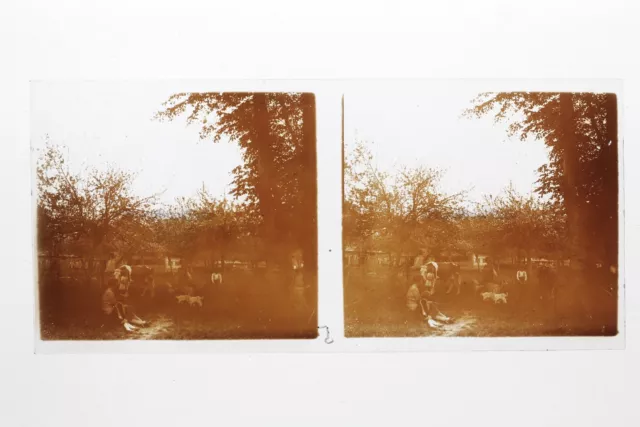 Brittany Ferme Vaches France Photo Stereo 10n9 Glass Plate Vintage c1930