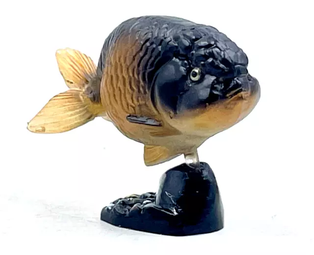Kaiyodo Furuta Black Ranchu Goldfish Fish Realistic Animal Figure Miniature