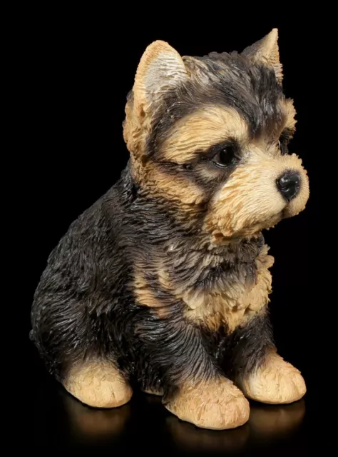 Chiens Chiots Figurine - Yorkshire Terrier - Mignon Chiot Mignons Welpenstatue