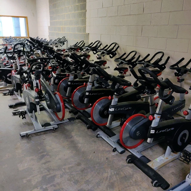 life cycle fitness