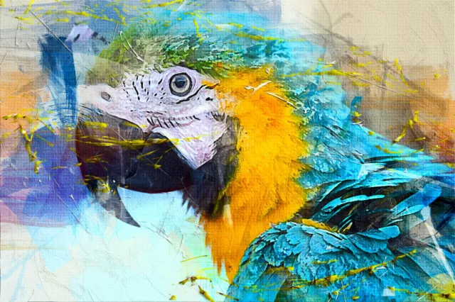 Wall Art Home Decor Colorful Parrot Birds Oil Painting Picture Printed on Canvas