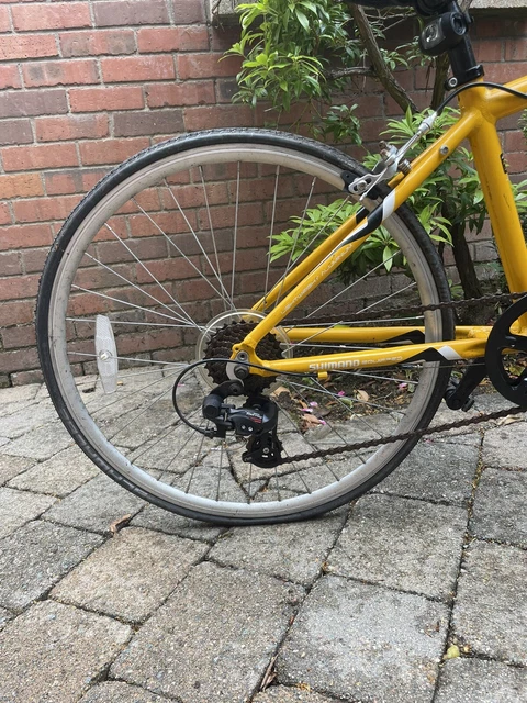 apollo tempo junior road bike