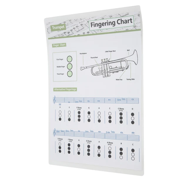 (Small Size))Trumpet Chart Clear Art Paper Trumpets Note Guide Durable Scale