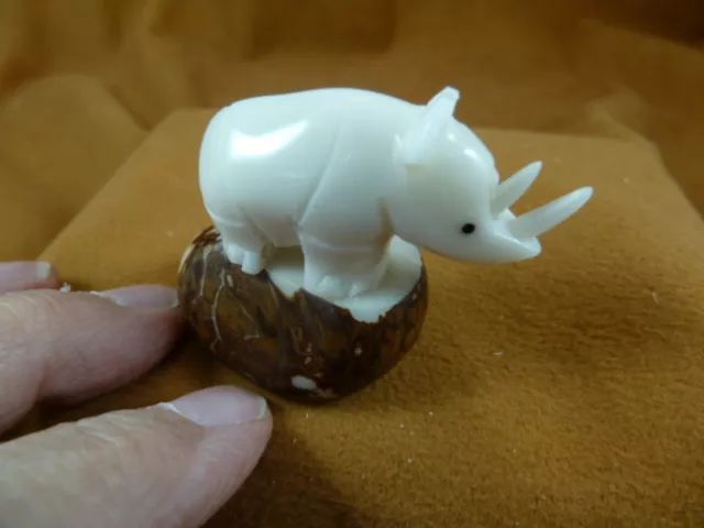 (TNE-RHI-500b) baby white RHINO Rhinoceros TAGUA NUT Figurine Vegetable rhinos