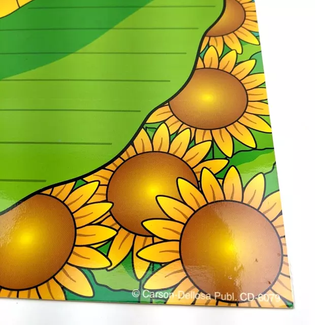 Sun Flower & Noahs Ark Chartlet Laminated Resource Guide Classroom  (2) 17x22 2