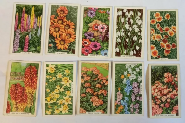 Gallaher Garden Flowers  10 Cards From A Set Of 48