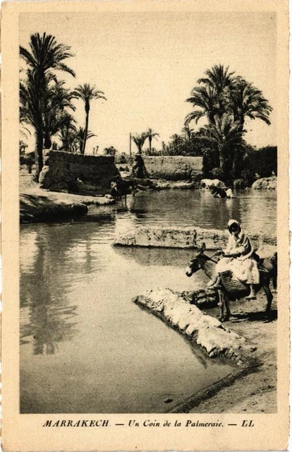 CPA AK MARRAKECH Un Coin de la Palmeraie MAROC (689678)