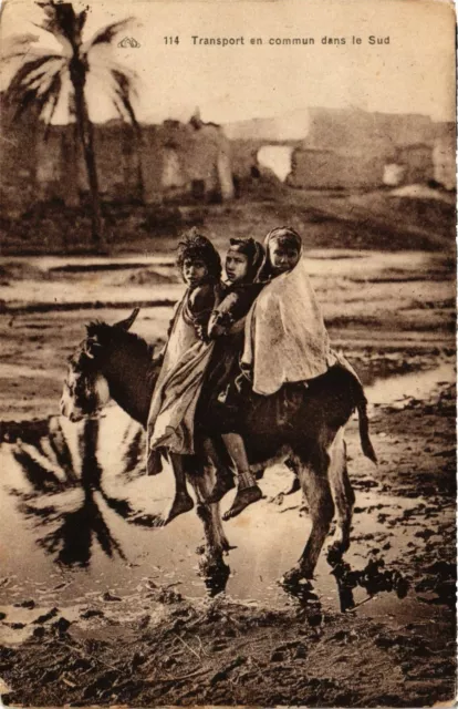 CPA AK Transport en commun dans le Sud ALGERIE (831861)