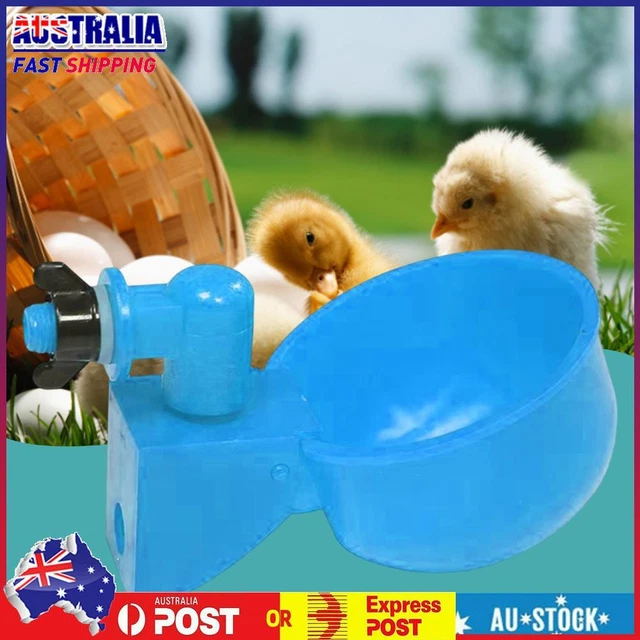 6pcs Chick Ducks Drinker Hanging Automatic Practical Convenient Feeding Supplies
