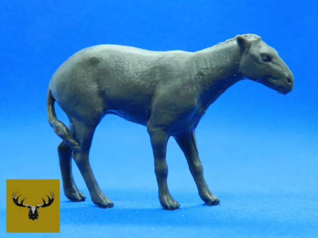 Eohippus Resin scale model!  Same as the 1/9 Breyer’s Traditional scale! 3