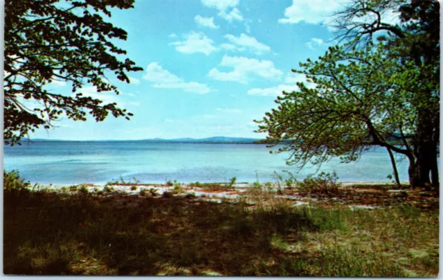 Postcard Ossipee Lake White Mountains New Hampshire Lake trees