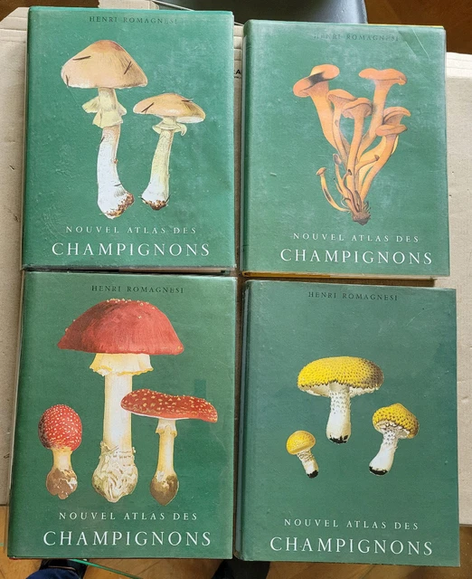 nouvel-atlas-des-champignons-henri-romagnesi-d-bordas-1971-316
