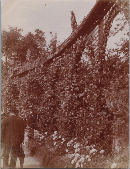 France, L&#039;Haÿ-les-Roses, la Roseraie  Vintage albumen print Tirage albumi