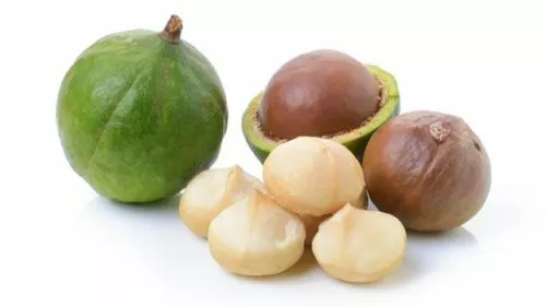 Macadamia Oil Macadamia Integrifolia For Nails Body Face Promotes Shiny Hair 3