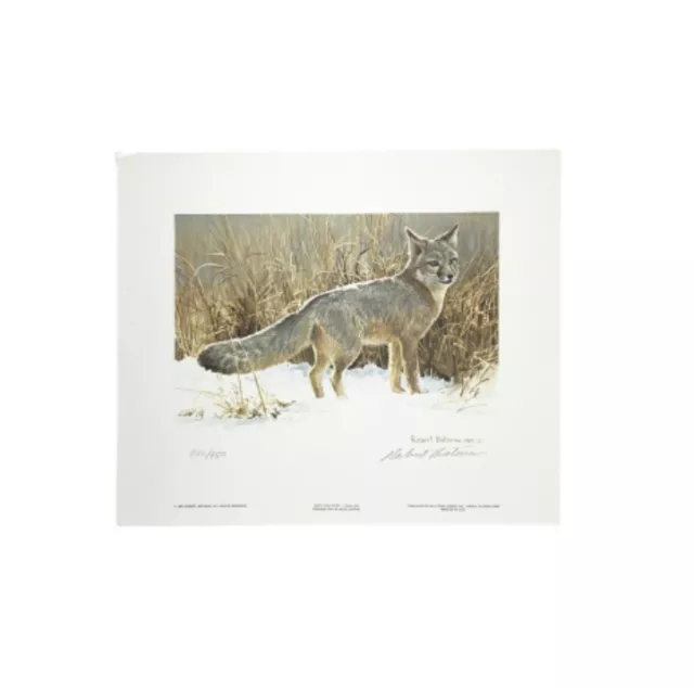 Robert Bateman “Swift Fox Study”, 13”X11” 1986 Signed & Numbered Print, 826/950
