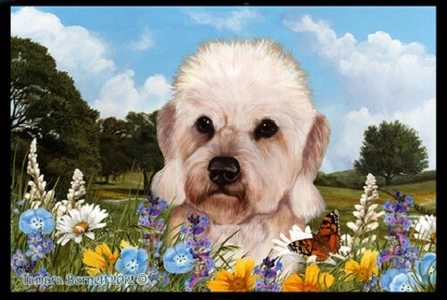 Summer Floor Mat - Dandie Dinmont Terrier 39210