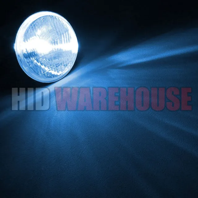 HID-Warehouse HID Xenon Replacement Bulbs D2R/D2S 10K 43K 5K 6K 8K (1 pair)