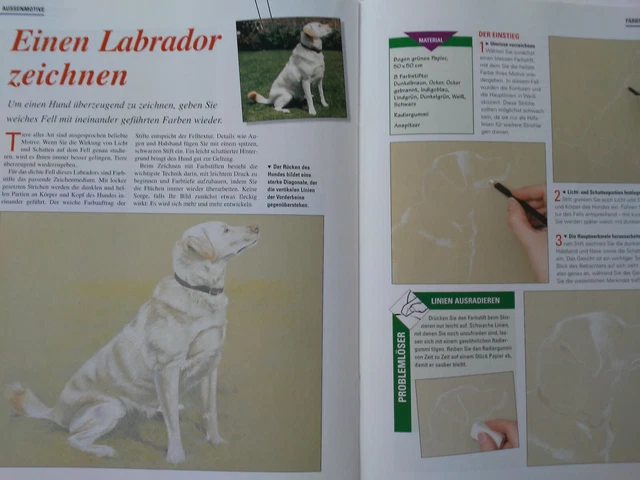 Ausgabe 33, Der Schritt-für-Schritt Kunstkurs, Malen und Zeichnen leicht gemacht 3