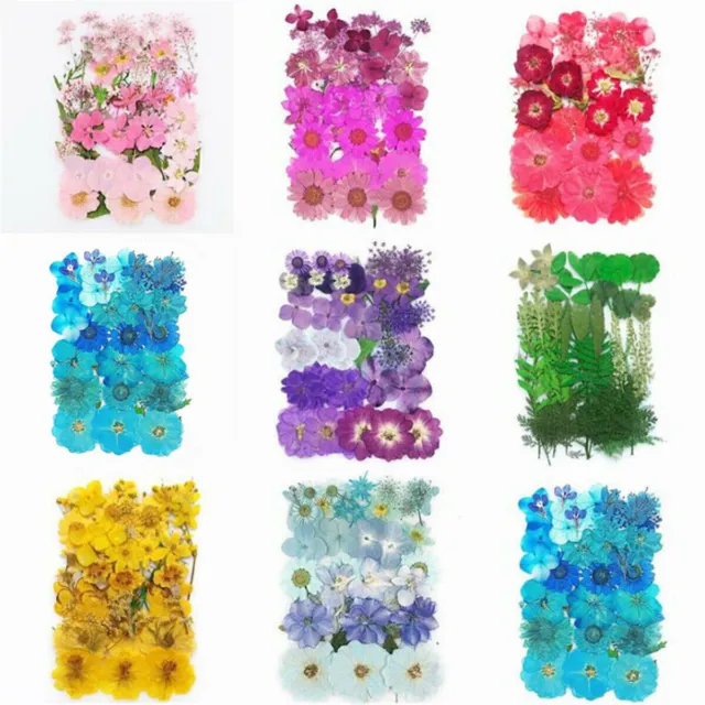 Multi Pressed Dried Flowers Real for Art Craft Scrapbooking Phone Case Decor DIY