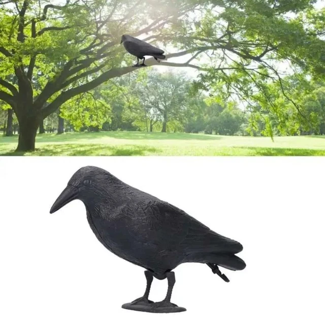 Repellent Scarer Pigeon Deterrent Crow Decoration  Courtyard Garden