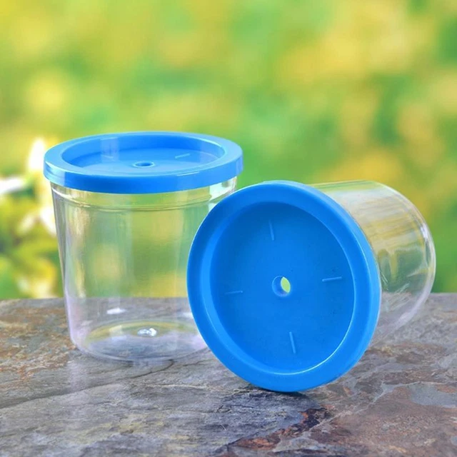 Plastic Aquarium for Kids Mini Transparent Betta Cups Small Fish Incubator 5