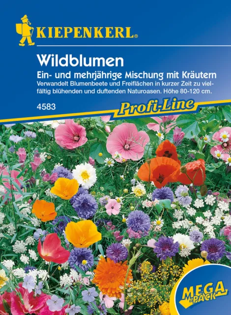 Kiepenkerl 4583 Wildblumen Ein- und mehrjährige Mischung mit Kräutern (Wildblume