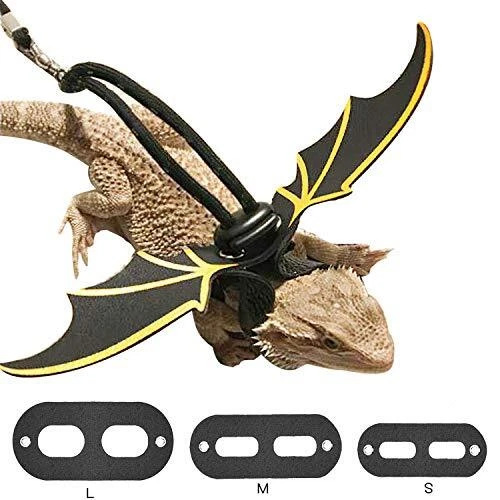 Adjustable Bearded Dragon Leather Harness Leash (S/M/L 3 Chest Pack) with Gold