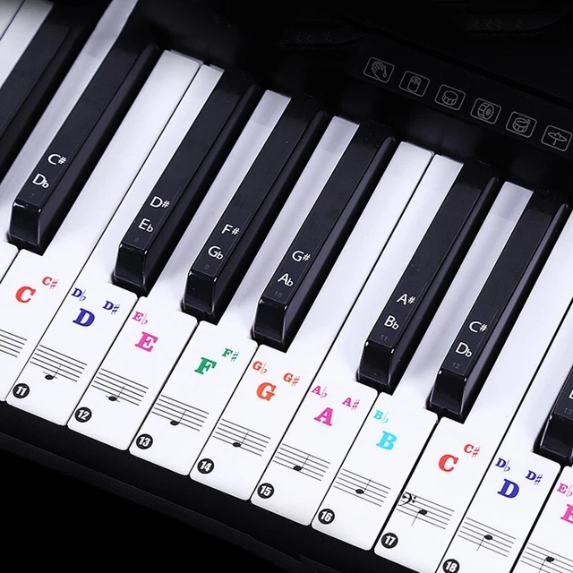 Learning Piano Sticker 37 * 11mm Transparent For Keys 37/49/88/61/54