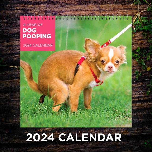 DOGS POOPING CALENDAR 2025, Dog Wall Calendar 2025, Funny Calendar 2025